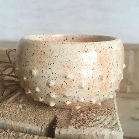 Esmalte Botz 9558 Crema - Hilario Studio Pottery