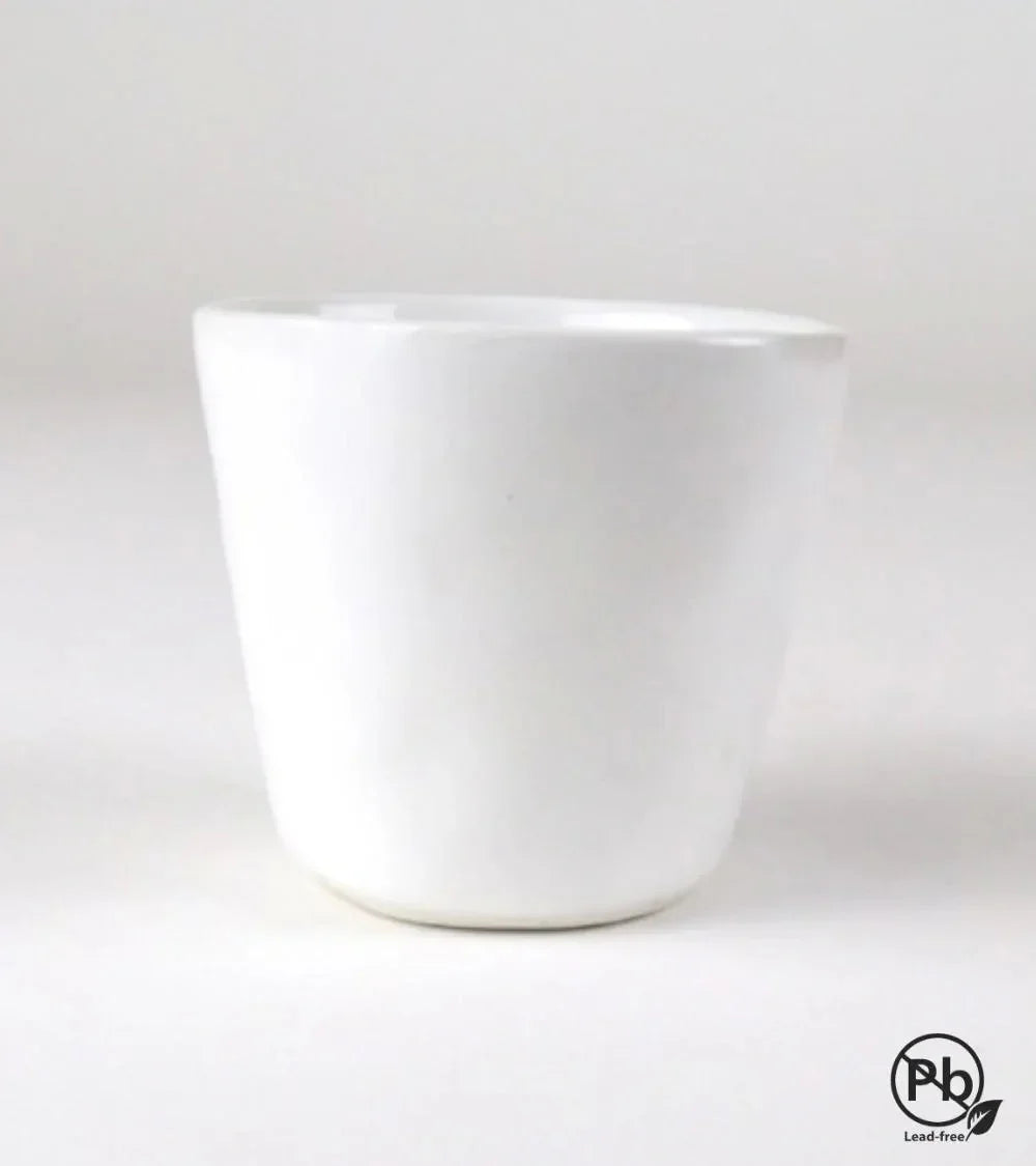 Esmalte en suspensión TG-01 Transparente – Box