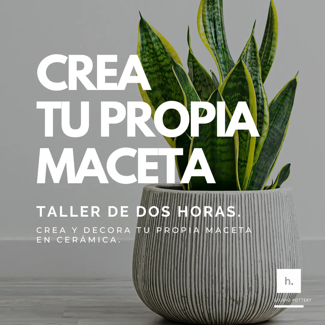 Crea tu propia maceta
