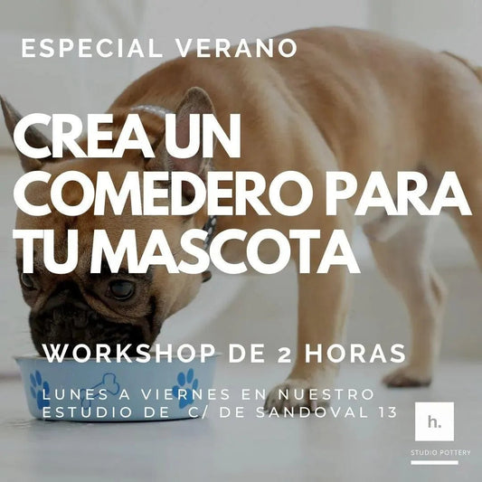 Crea un comedero para tu mascota. - Hilario Studio Pottery