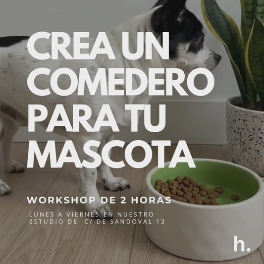 Crea una menjadora per a la teva mascota.